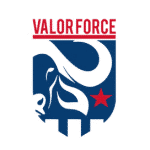 Valor Force