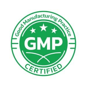 How To Perform A GMP Audit (In 8 Easy Steps) - 1st Reporting